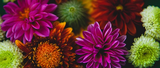 媒体和球迷 媒体和球迷