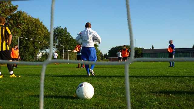 种逆境中迷 种逆境中迷