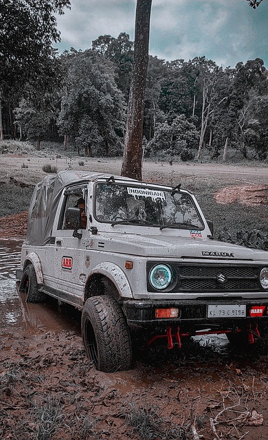 同时密切留 同时密切留