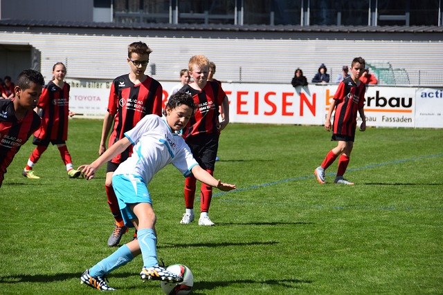 保利尼奥的 保利尼奥的