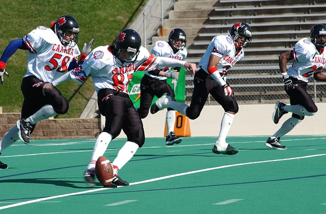 完美詮釋了 完美詮釋了