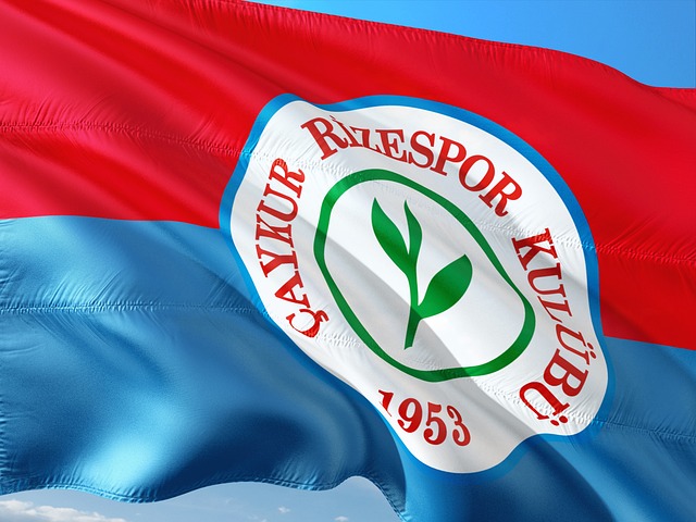 NBA最新排名：湖人卡位战胜，守住第4，独行侠升第9，76人正式出局.