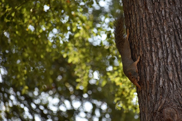也能够带动 也能够带动