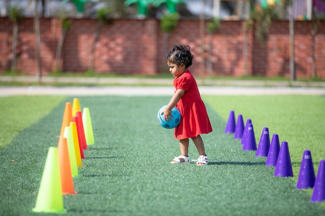 年每天都会 年每天都会